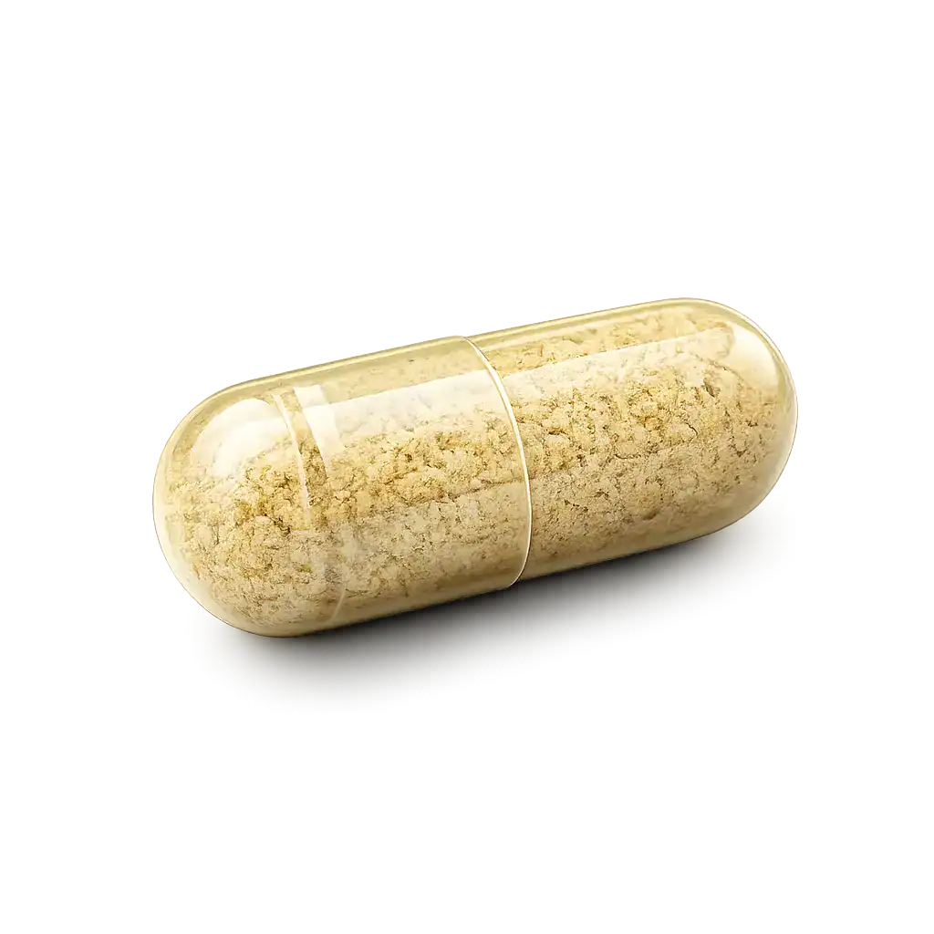 ginger-root-extract-supplements