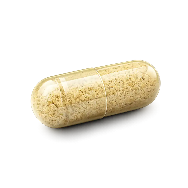 ginger-root-extract-supplements