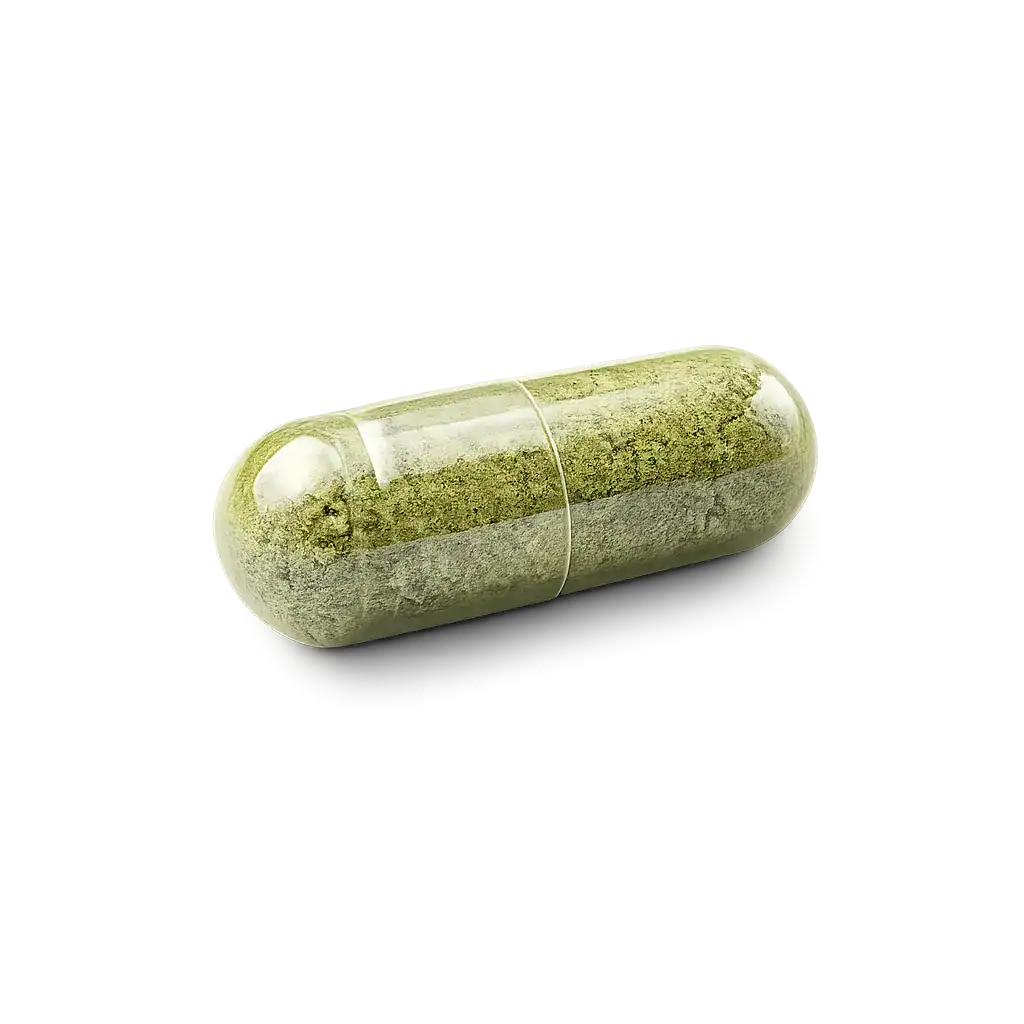 Moringa Supplements