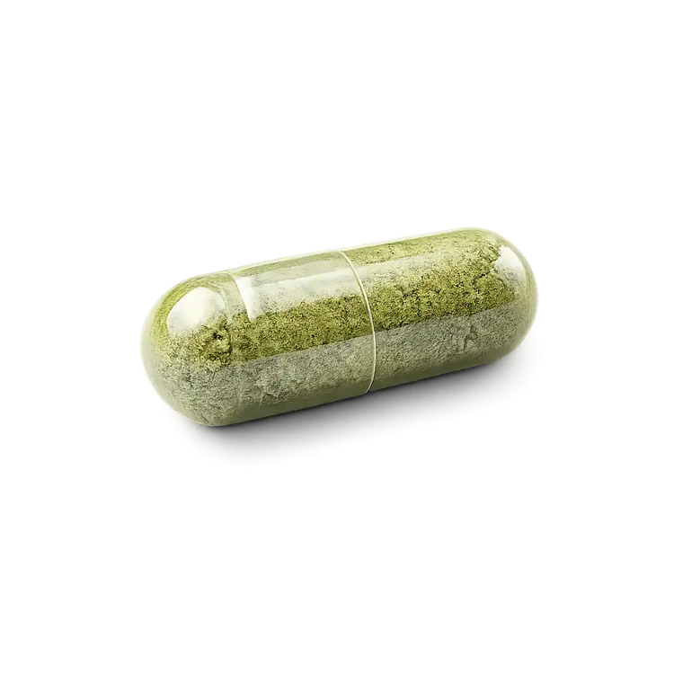 Moringa Supplements