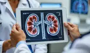Kidney Care / Nephrology