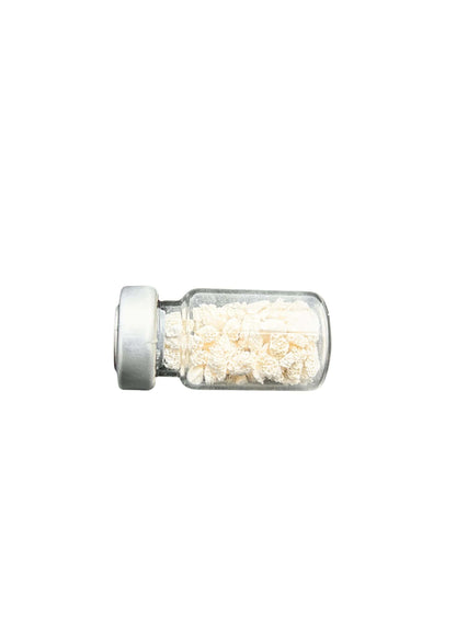 Fix Oss Ortho Bone Graft Substitute | Advanced Osteoconductive Solution for Orthopedic Procedure