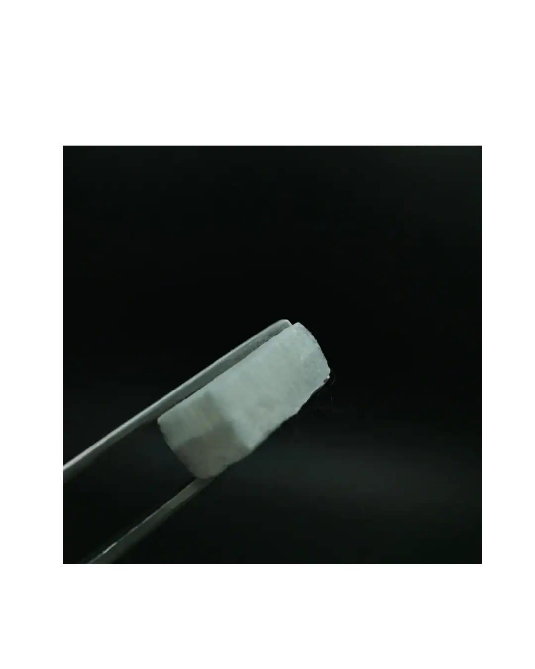 Fix plug collagen wound dressing