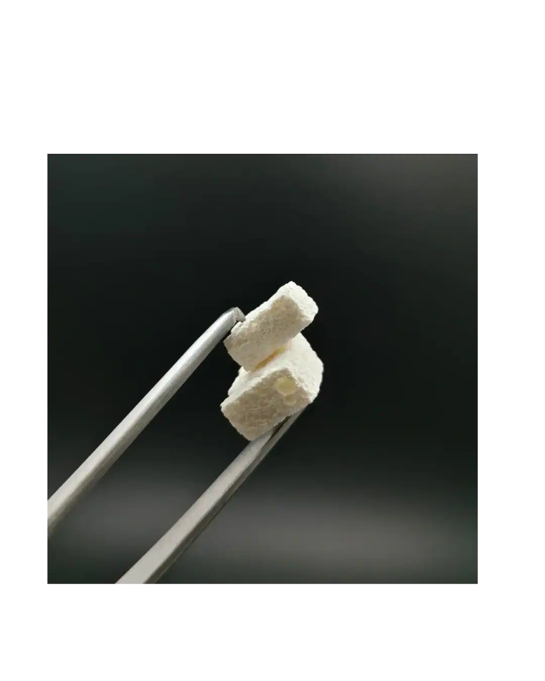 Fix Oss Block Spongious Bone Block