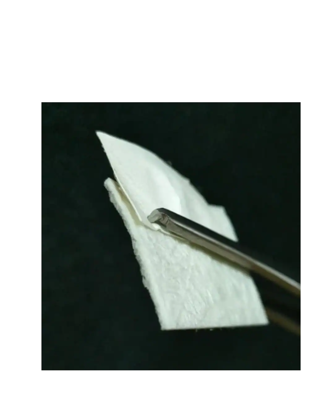 Fix Gide Gtr Membrane | Sterile resorbable Collagen membrane